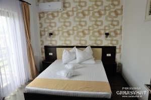 camera-cu-pat-matrimonial-apartament-Delta-Dunarii 